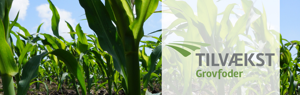 TILVÆKST Grovfoder nr. 33, 28. november 2024