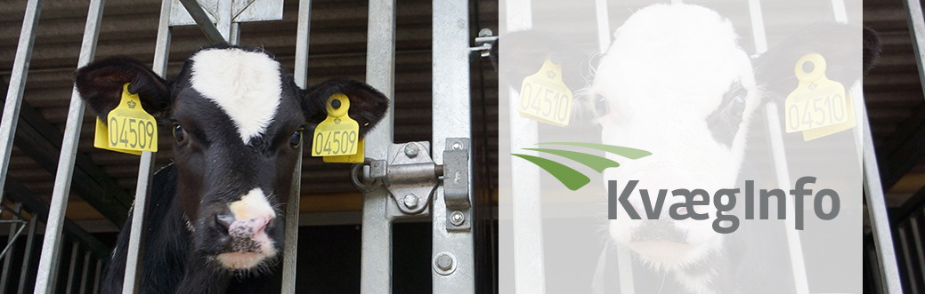 KvægInfo – December 2023