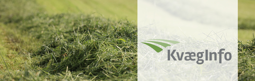 KvægInfo – Juni 2025