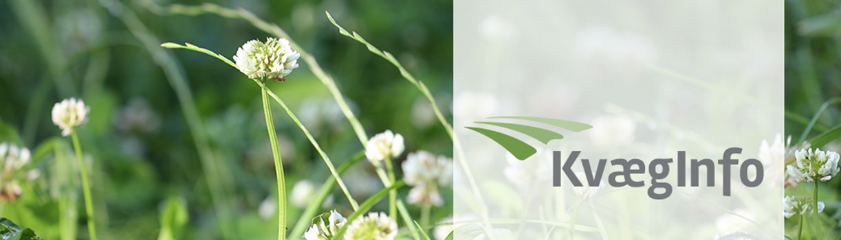 Header billede